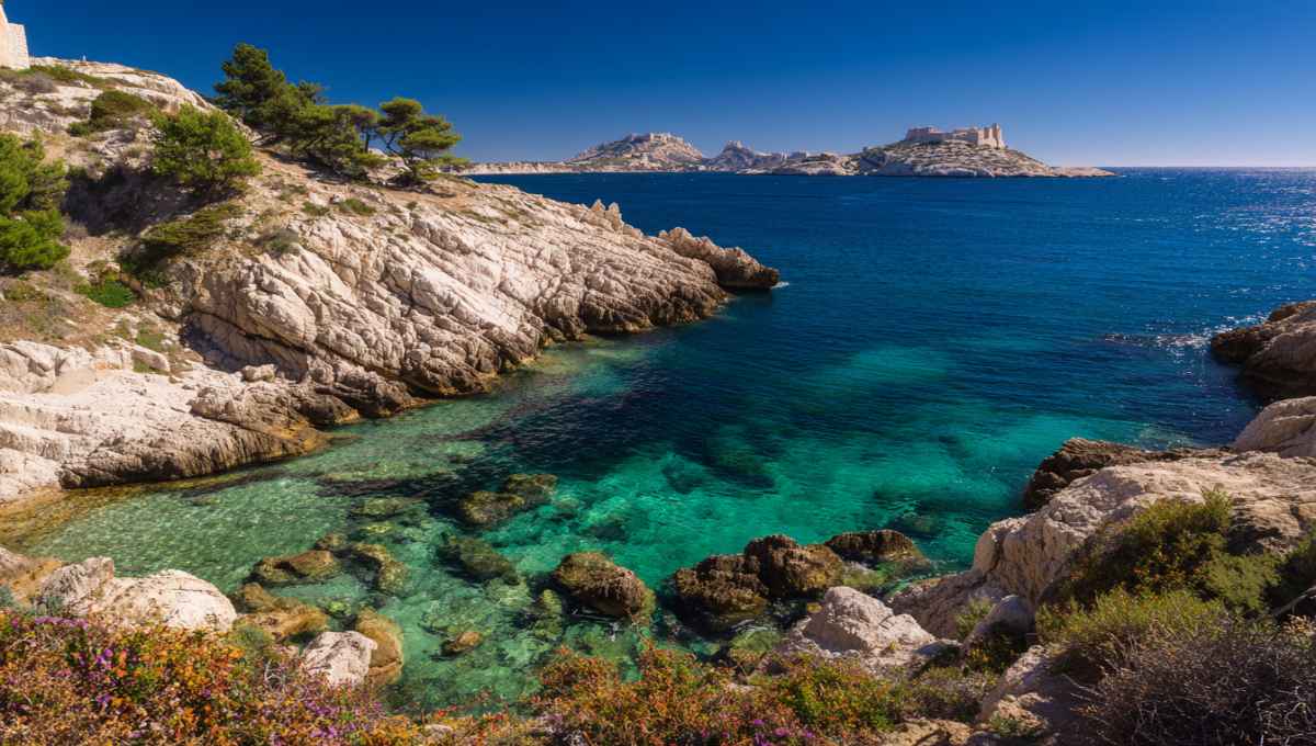 Vue panoramique de la plage Pointe d'Endoume à Marseille avec eaux turquoise et îles du Frioul en arrière-plan