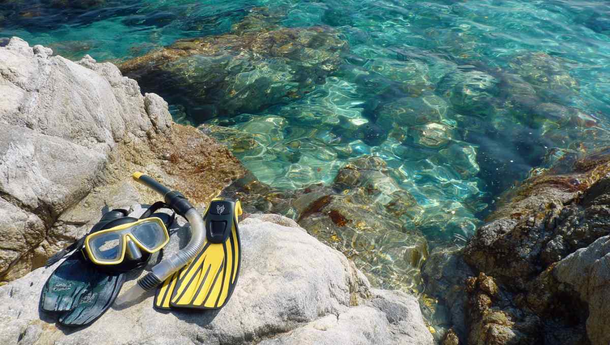 Équipement de snorkeling sur les rochers de la plage Pointe d'Endoume avec eaux cristallines