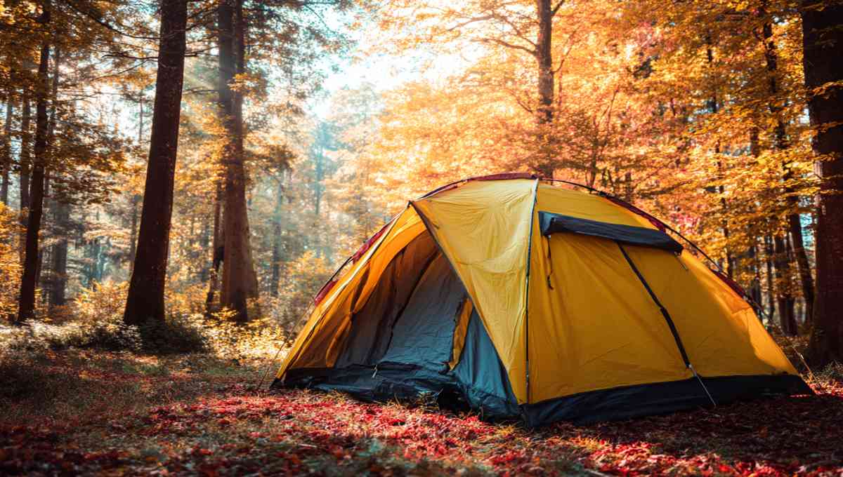 Tente de camping installée dans une forêt aux couleurs automnales avec feuillages dorés et rouges
